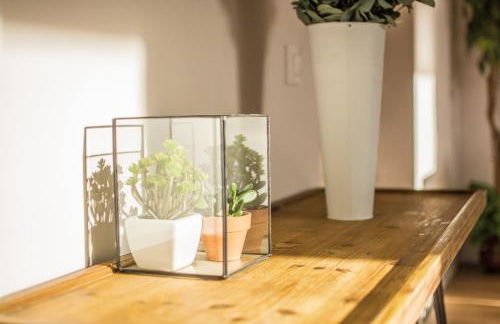 Apartamento Plaza Mayor Cáceres - Foto 41