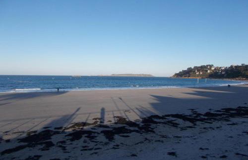 Les hortensias - Foto 36