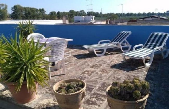 Gecko's House - Foto 22