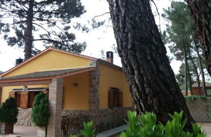 Rural Arco Iris - Foto 36