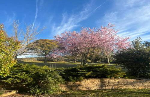 Belvilla by OYO Cobert de l'Era - Foto 24