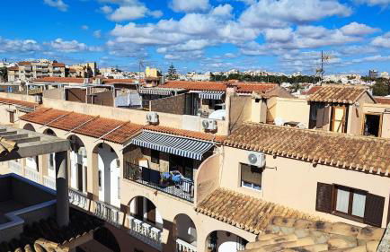 Agata Sea Horse - Foto 24