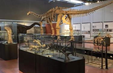 Gite CATHARE en OCCITANIE - Foto 53