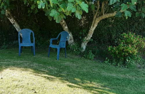 CLOS PAGNY - Foto 24