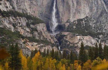Cozy Yosemite Cabin with Hot Tub in the Pines - Foto 15