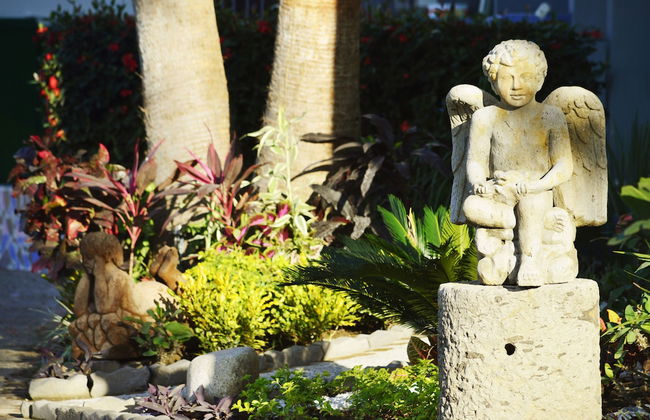 Puerto de Luna Pet Friendly & Family Suites Hotel - Photo 65