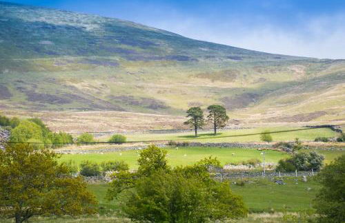 Tan y Bryn Bach - Foto 35