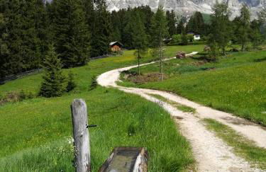 Residence Grand Hotel Carezza - Foto 68