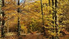 A&S Apartaments - RELAX - Foto 3