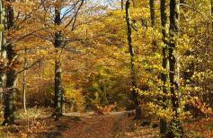 A&S Apartaments - RELAX - Foto 3