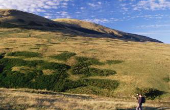 Dollar Apartments-39 Bridge Street - Photo 68