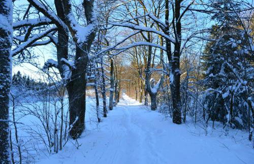 Ferienwohnung Pusteblume - Foto 28