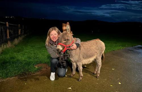 Les Perruchons ancienne grange rénovée avec soin - Foto 56