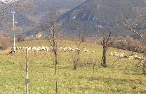 Casale Santomanno - Foto 33