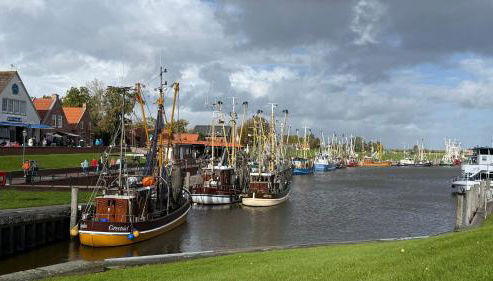 Ferienhaus FRIESENHERZ - Traum-Landhaus mit Sauna & Wallbox - Foto 2