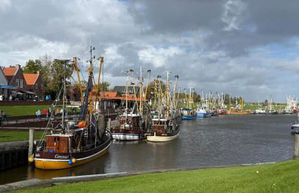 Ferienhaus FRIESENHERZ - Traum-Landhaus mit Sauna & Wallbox - Foto 2