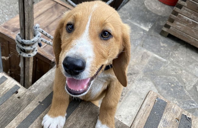 Agriturismo Il Melograno - Foto 40