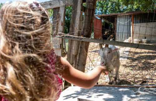 Agriturismo Zio Cristoforo - Foto 20