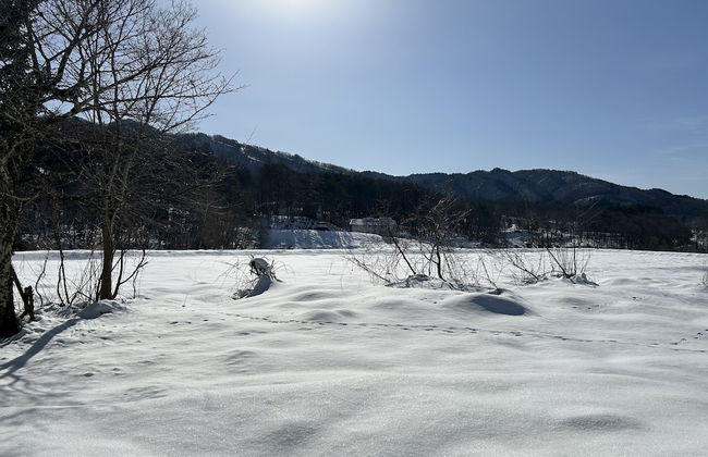 Cool-villa HIDA resort - Foto 37