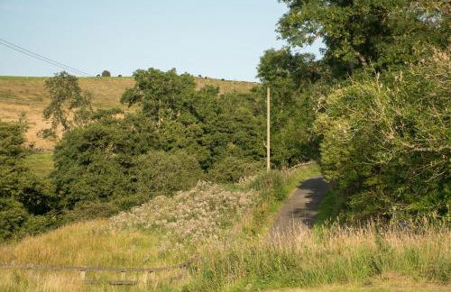 Wild Northumberland Glamping - Foto 75