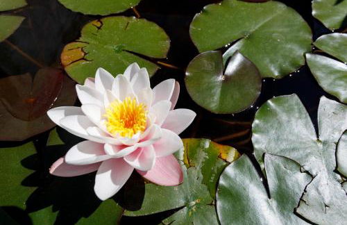 Son Colom -Turismo de interior - Foto 55