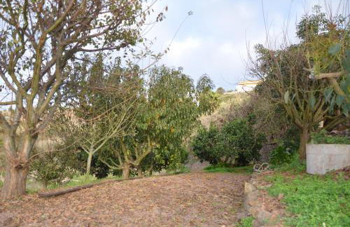 La Berrera - Foto 10