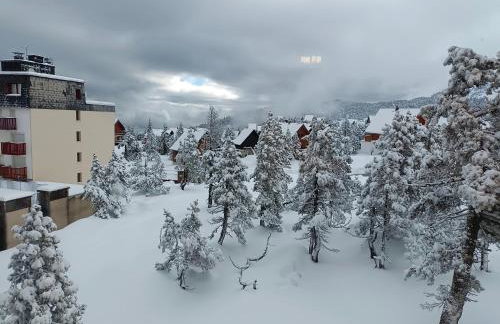 Les myrtilles La Pierre Saint Martin - Foto 5