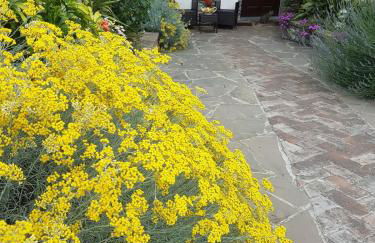 Agriturismo Dinoabbo Oleandri - Photo 14