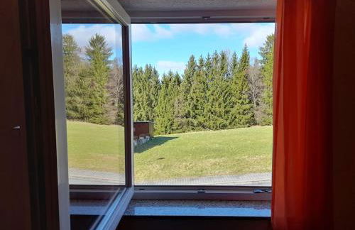 1-Zimmer-Studio am Waldrand - Photo 13