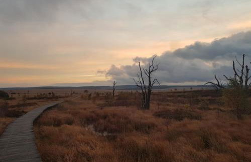 Sonnenschein am Rursee - Foto 47