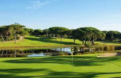 Casa Margarida Azul - Photo 24