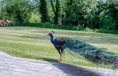 Chapel Cottage at Pond Hall Farm, Stunnning Property with Private Hot Tub, Hadleigh - Foto 60