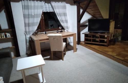 100 Stufen über dem Rhein - Photo 50