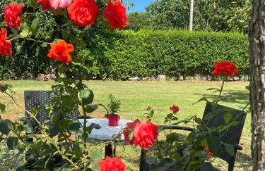 Studio apartman Fjaka - Foto 18