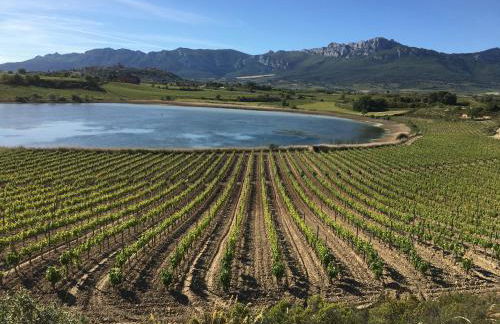 Four Bedroom Chalet with Private Pool in the Heart of Rioja Alavesa - Photo 26