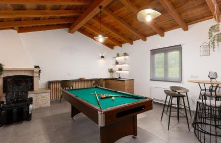 Family villa Filton with wellness in Vizinada - Foto 4