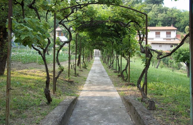 Affittacamere Il Tiglio - Foto 25