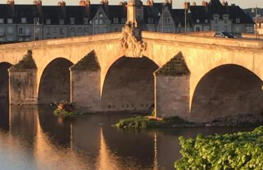 Les lumières de la Loire - Foto 12