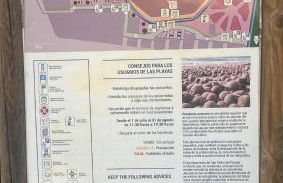 Beautiful beach and sun house - Foto 35