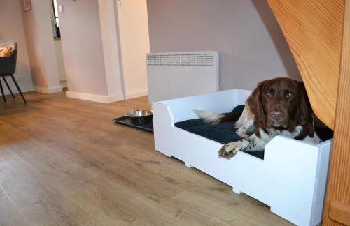 Kernsaniertes Ferienhaus direkt hinterm Nordseedeich NW - Foto 8