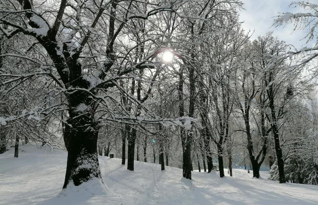 Apartment in Cavalese Near Cermis Ski Slopes - Foto 36