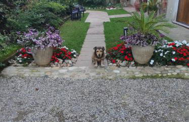 Casa NONNA LINA - Foto 17