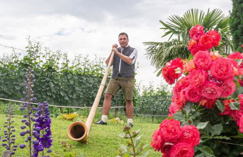 Obst- und Ferienhof Gomeringer - Foto 6