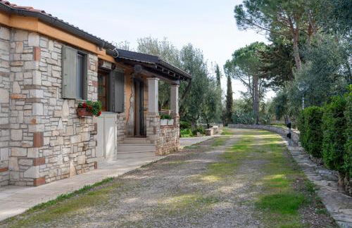 L'antica quercia - Foto 27