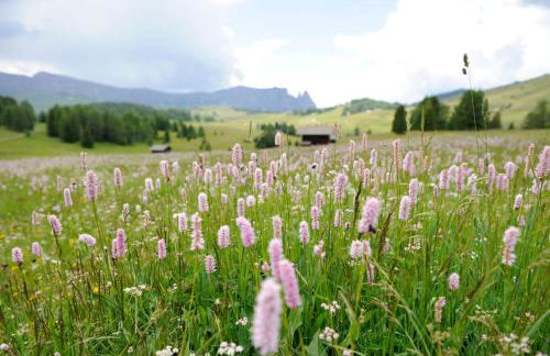 NaturResidence Dolomitenhof - Foto 34
