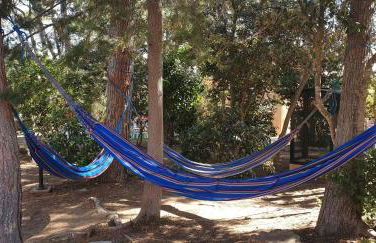 apartamento con jardín a 11 metros de la playa B2 - Foto 43