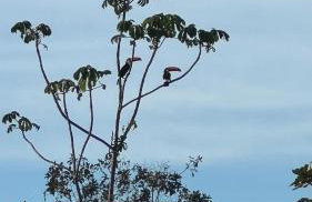 Rancho Fundo - Foto 23