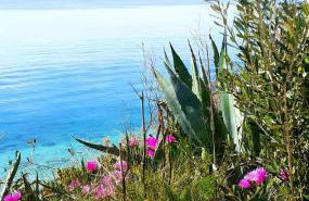 Apartment Mira II - Photo 14