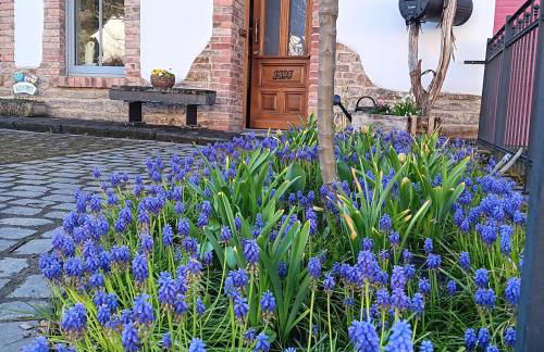 Eifler Brunnenhaus - Foto 20