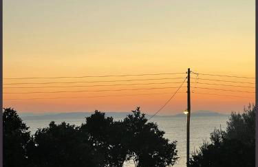 Aloni house - Foto 19